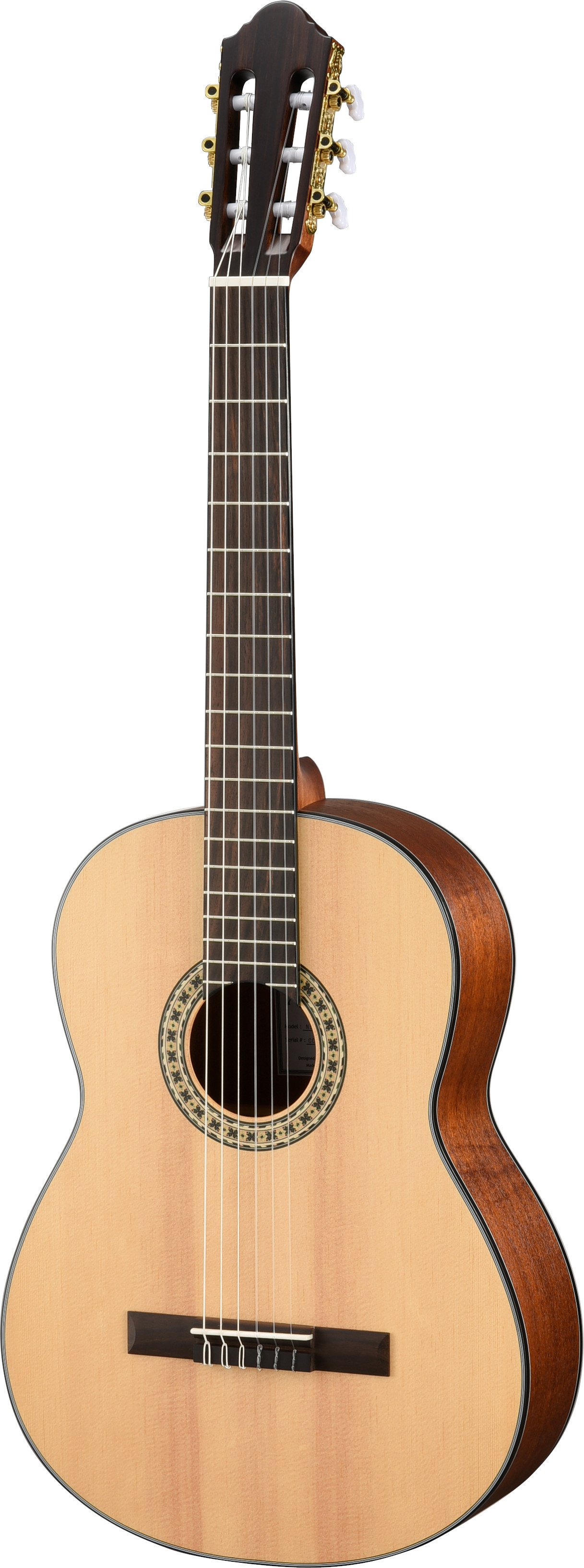 Walden Wan550E Chitarra Classica Natura 500