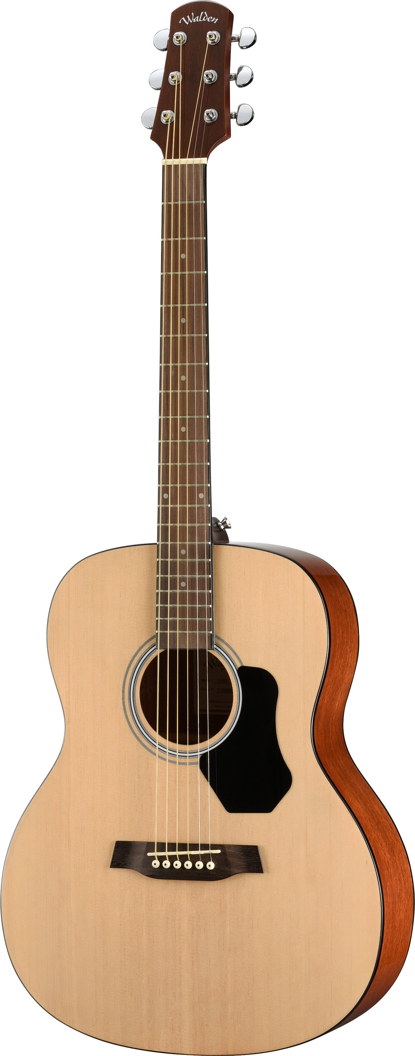 Walden Wao350W Chitarra Acustica Orchestra Standard 300