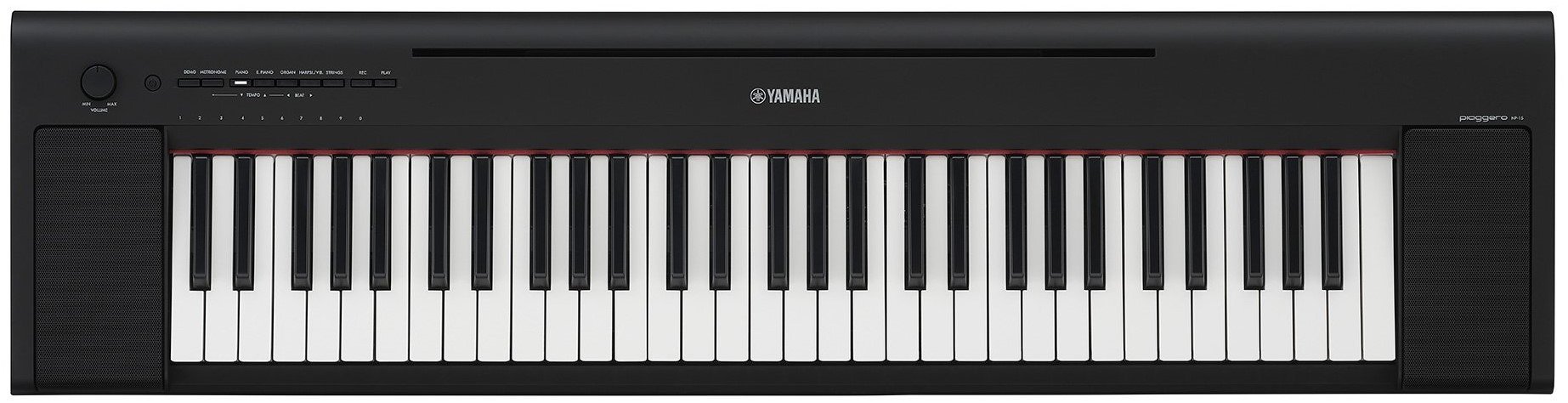 Yamaha Np15B